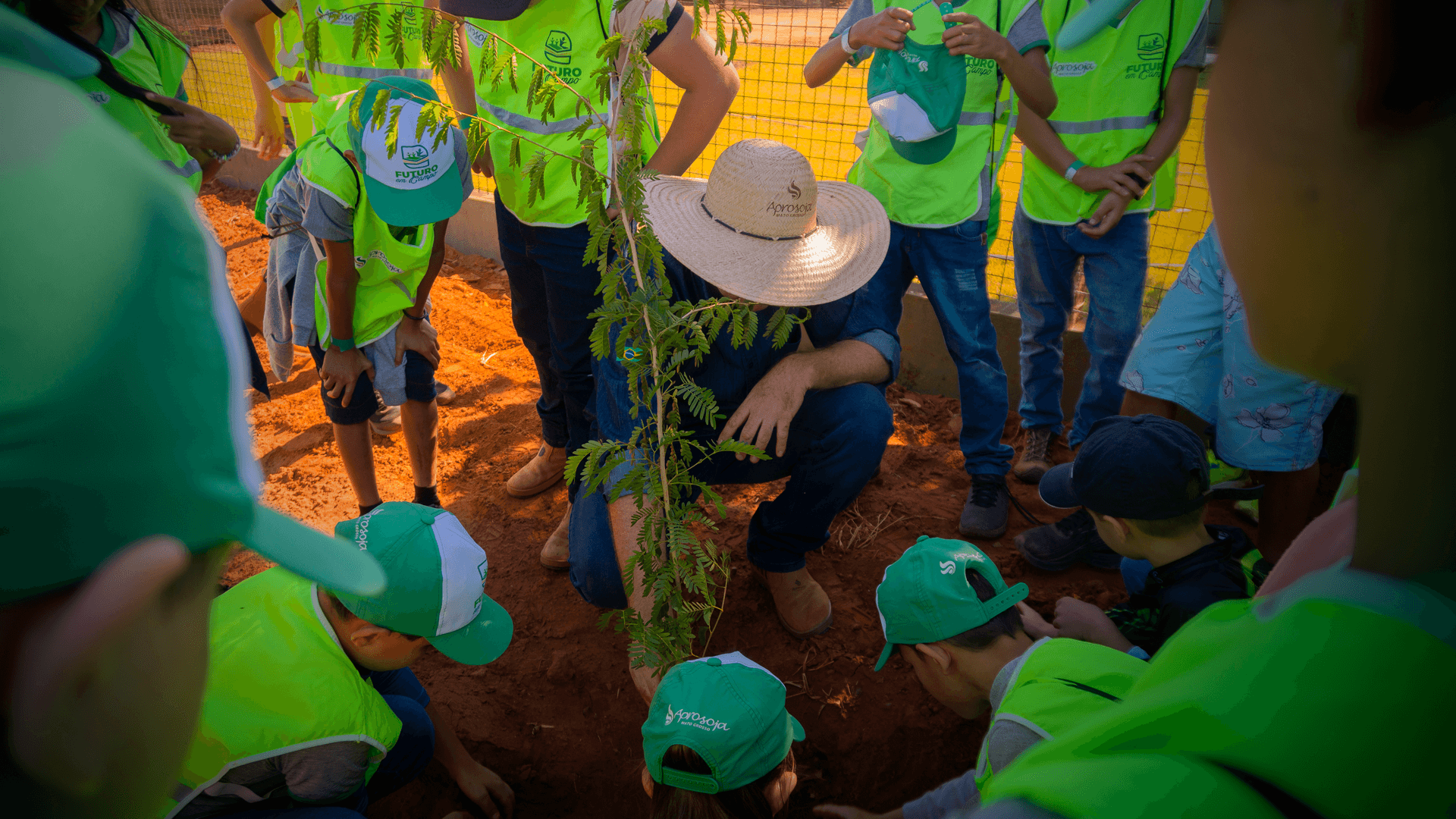 Fortalecimento Institucional
